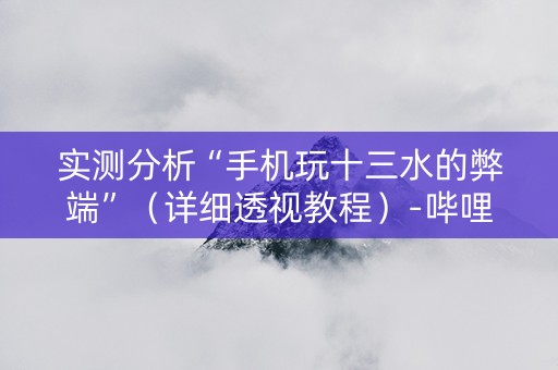 实测分析“手机玩十三水的弊端”（详细透视教程）-哔哩哔哩
