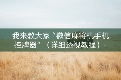 我来教大家“微信麻将机手机控牌器”（详细透视教程）-哔哩哔哩