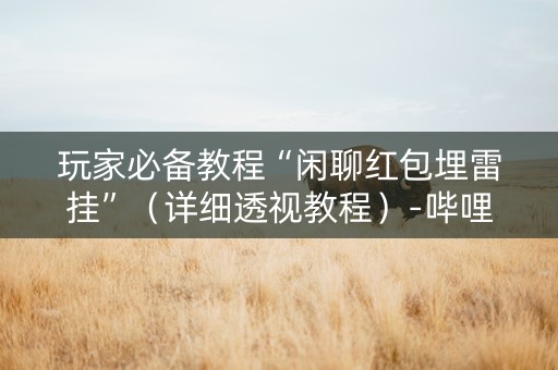 玩家必备教程“闲聊红包埋雷挂”（详细透视教程）-哔哩哔哩