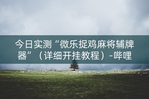今日实测“微乐捉鸡麻将辅牌器”（详细开挂教程）-哔哩哔哩