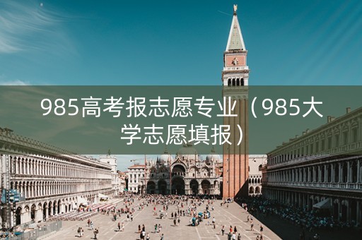 985高考报志愿专业（985大学志愿填报）