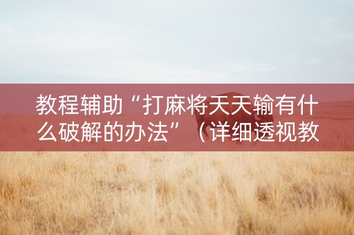 教程辅助“打麻将天天输有什么破解的办法”（详细透视教程）-哔哩哔哩
