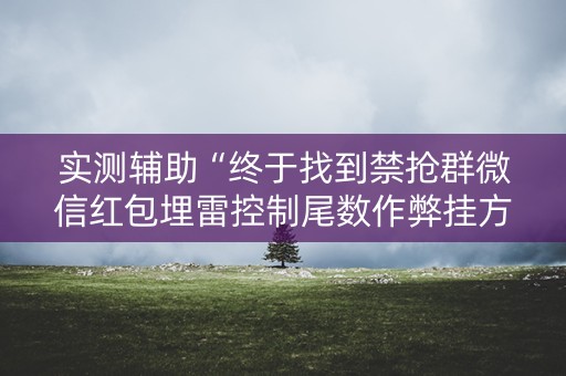 实测辅助“终于找到禁抢群微信红包埋雷控制尾数作弊挂方法”（详细透视教程）-哔哩哔哩