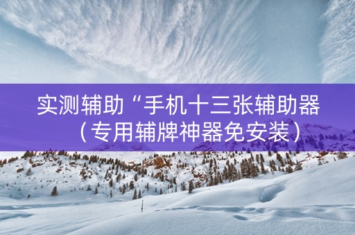 实测辅助“手机十三张辅助器（专用辅牌神器免安装）