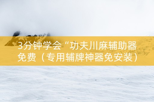 3分钟学会“功夫川麻辅助器免费（专用辅牌神器免安装）