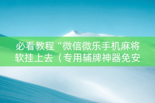 必看教程“微信微乐手机麻将软挂上去（专用辅牌神器免安装）
