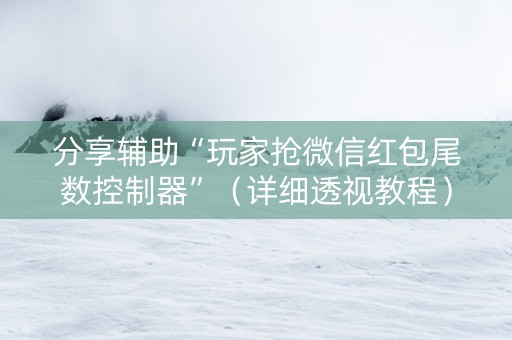 分享辅助“玩家抢微信红包尾数控制器”（详细透视教程）-哔哩哔哩