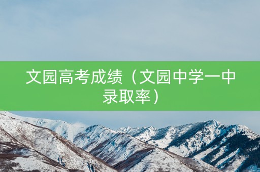 文园高考成绩（文园中学一中录取率）