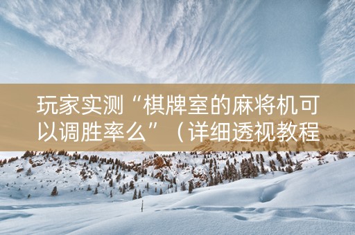 玩家实测“棋牌室的麻将机可以调胜率么”（详细透视教程）-哔哩哔哩
