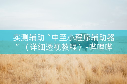 实测辅助“中至小程序辅助器”（详细透视教程）-哔哩哔哩