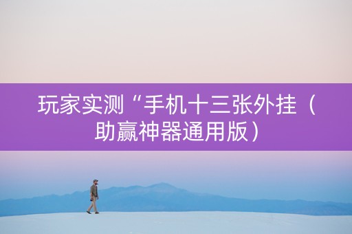 玩家实测“手机十三张外挂（助赢神器通用版）