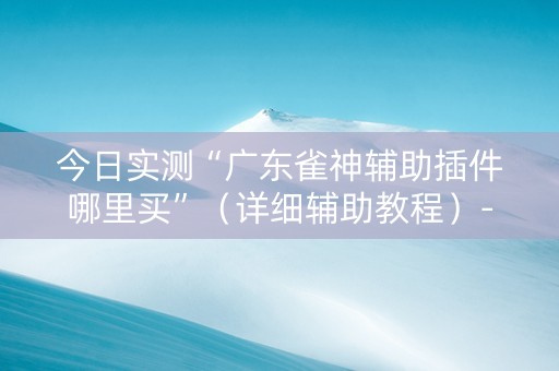 今日实测“广东雀神辅助插件哪里买”（详细辅助教程）-哔哩哔哩