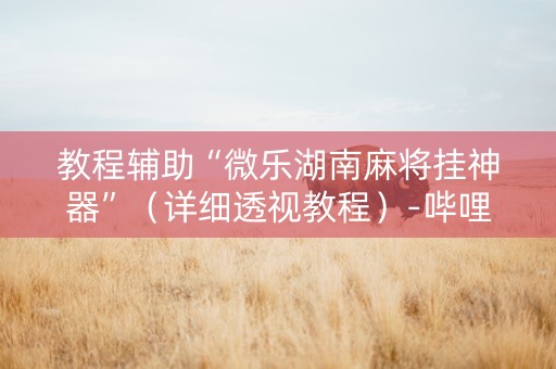 教程辅助“微乐湖南麻将挂神器”（详细透视教程）-哔哩哔哩