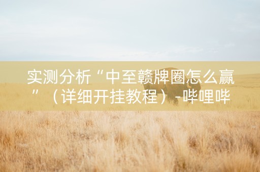 实测分析“中至赣牌圈怎么赢”（详细开挂教程）-哔哩哔哩