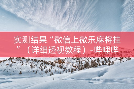 实测结果“微信上微乐麻将挂”（详细透视教程）-哔哩哔哩