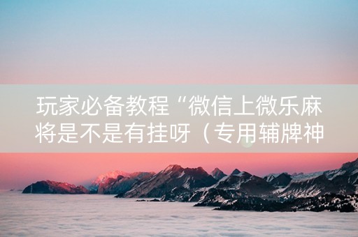 玩家必备教程“微信上微乐麻将是不是有挂呀（专用辅牌神器免安装）