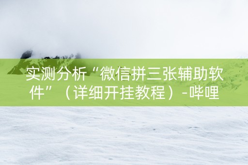 实测分析“微信拼三张辅助软件”（详细开挂教程）-哔哩哔哩