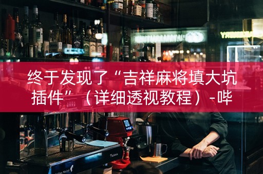 终于发现了“吉祥麻将填大坑插件”（详细透视教程）-哔哩哔哩