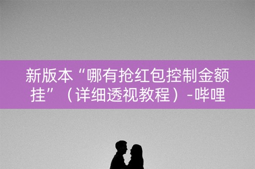 新版本“哪有抢红包控制金额挂”（详细透视教程）-哔哩哔哩