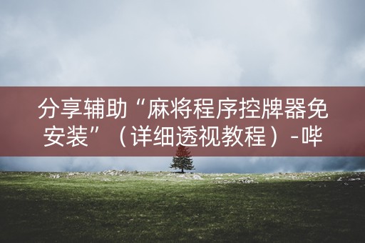 分享辅助“麻将程序控牌器免安装”（详细透视教程）-哔哩哔哩