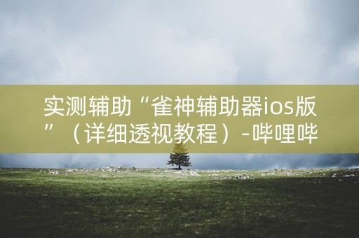 实测辅助“雀神辅助器ios版”（详细透视教程）-哔哩哔哩