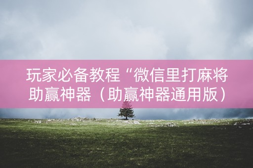 玩家必备教程“微信里打麻将助赢神器（助赢神器通用版）