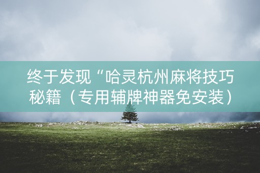 终于发现“哈灵杭州麻将技巧秘籍（专用辅牌神器免安装）