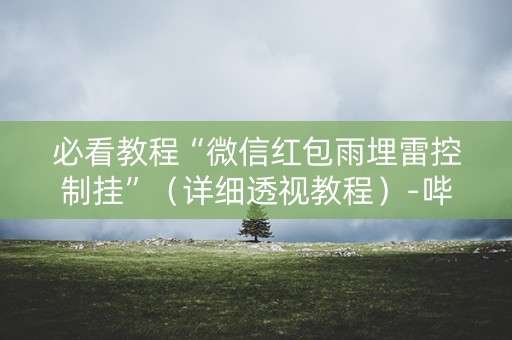 必看教程“微信红包雨埋雷控制挂”（详细透视教程）-哔哩哔哩
