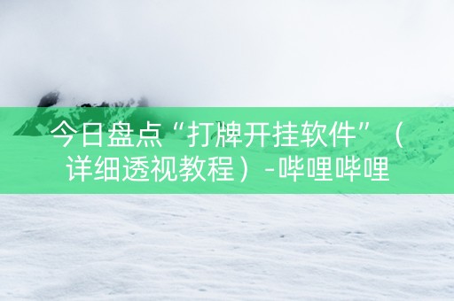今日盘点“打牌开挂软件”（详细透视教程）-哔哩哔哩