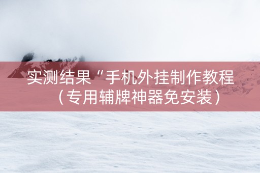 实测结果“手机外挂制作教程（专用辅牌神器免安装）