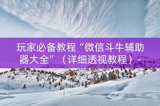 玩家必备教程“微信斗牛辅助器大全”（详细透视教程）-哔哩哔哩