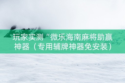 玩家实测“微乐海南麻将助赢神器（专用辅牌神器免安装）