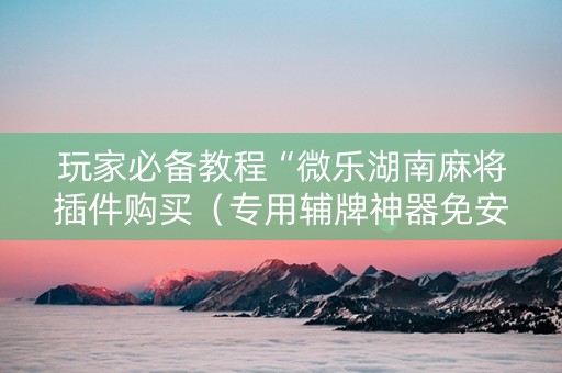 玩家必备教程“微乐湖南麻将插件购买（专用辅牌神器免安装）
