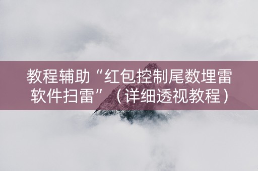 教程辅助“红包控制尾数埋雷软件扫雷”（详细透视教程）-哔哩哔哩
