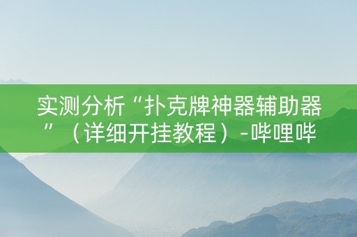 实测分析“扑克牌神器辅助器”（详细开挂教程）-哔哩哔哩