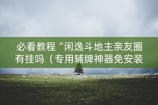 必看教程“闲逸斗地主亲友圈有挂吗（专用辅牌神器免安装）