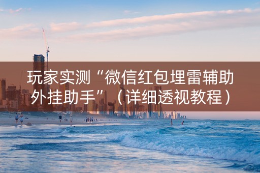 玩家实测“微信红包埋雷辅助外挂助手”（详细透视教程）-哔哩哔哩