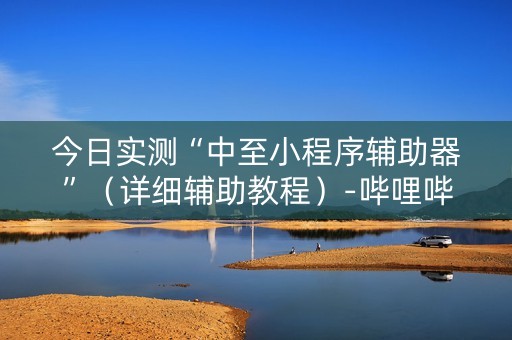 今日实测“中至小程序辅助器”（详细辅助教程）-哔哩哔哩