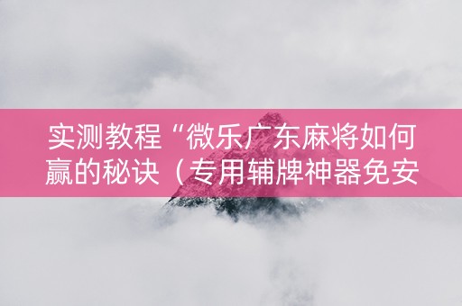 实测教程“微乐广东麻将如何赢的秘诀（专用辅牌神器免安装）