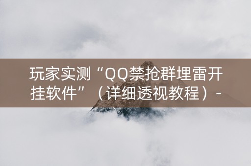 玩家实测“QQ禁抢群埋雷开挂软件”（详细透视教程）-哔哩哔哩