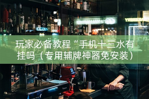 玩家必备教程“手机十三水有挂吗（专用辅牌神器免安装）