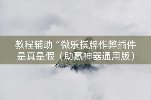 教程辅助“微乐棋牌作弊插件是真是假（助赢神器通用版）