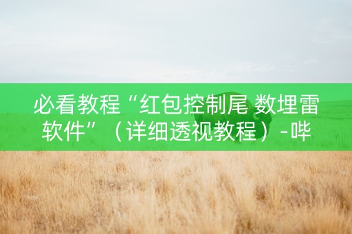 必看教程“红包控制尾 数埋雷软件”（详细透视教程）-哔哩哔哩