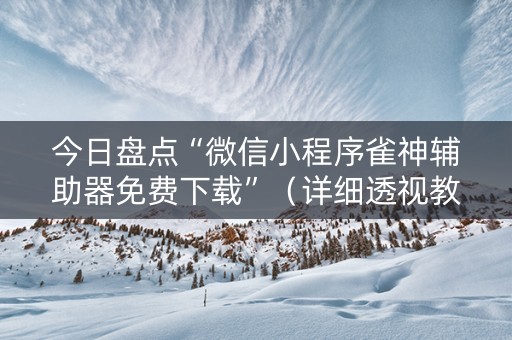 今日盘点“微信小程序雀神辅助器免费下载”（详细透视教程）-哔哩哔哩