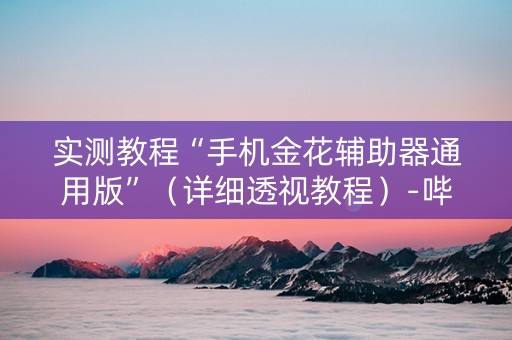 实测教程“手机金花辅助器通用版”（详细透视教程）-哔哩哔哩