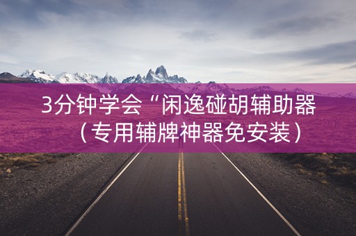 3分钟学会“闲逸碰胡辅助器（专用辅牌神器免安装）