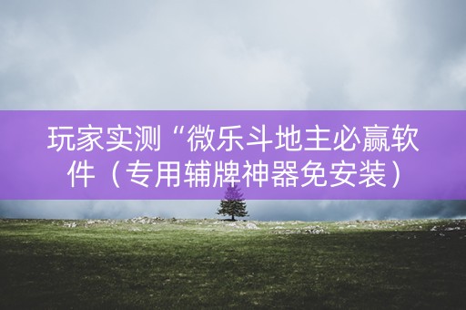 玩家实测“微乐斗地主必赢软件（专用辅牌神器免安装）