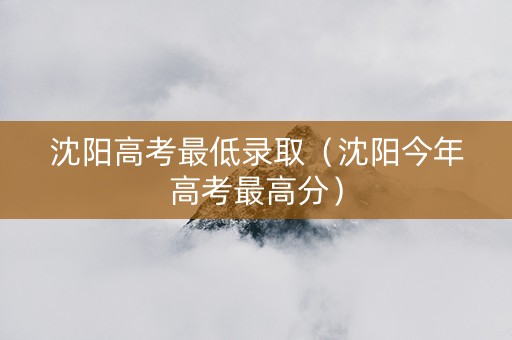 沈阳高考最低录取（沈阳今年高考最高分）