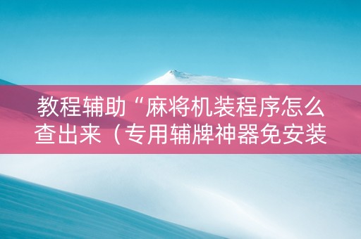教程辅助“麻将机装程序怎么查出来（专用辅牌神器免安装）