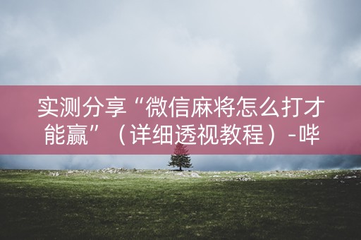 实测分享“微信麻将怎么打才能赢”（详细透视教程）-哔哩哔哩
